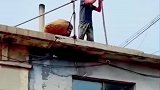 大爷这下楼方式真不好模仿