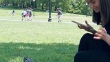 这个女孩在美国波士顿的一个公园里发现了一只可爱的花栗鼠