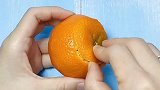 品石花共团圆