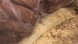 传统手艺特色美食，猜猜是哪个地方的特色