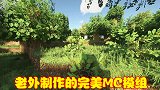 MC：老外制作的完美模组，让游戏变得更加真实