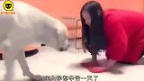 猫咪，起床了，你这睡姿也太独特了吧