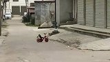 现在婴儿车都这么高级了吗