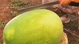这西瓜打开那一刻太有食欲了，这就是我的梦中情瓜啊