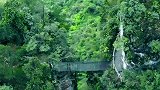 贵州搭建在险峰上的木板桥，下面是万丈深渊，没人敢在上面走！