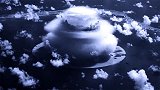 假如核弹在太空爆炸，会给人类带来什么影响，美国人曾亲自实验过