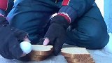 当破壳的鸡蛋遇到极寒的冷空气时，蛋液很快由液体变成固体