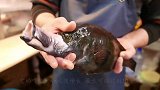 日本的“流氓鱼”，轻轻一碰就伸长10厘米，深受当地女性喜爱！