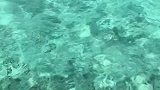 这声音好孤独啊