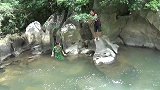 美女在河里游泳，大鱼悄悄游到身旁，美女被吓速度上岸！
