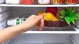 冰箱积水怎么办？冰箱疏通器彻底解决冰箱清洗