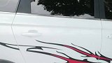 全网最笨熊第一次坐车车