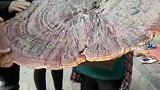 这雨伞得老挡雨了吧