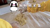 超生动体验课！大熊猫粑粑被搬上课桌 小学生拿卷尺测量观察