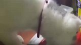 猫咪也学会抽烟了，叼烟的那下也太帅了吧