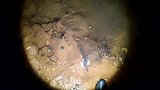 龚喜夜间水库抄鱼，上货大鲤鱼大黑鱼全部放掉，原来打野只为过瘾
