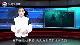 “美人鱼”被冲上岸，引来众人进行围观，老渔民一眼认出是“它”