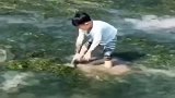 小子，你这一巴掌给鱼拍懵了！