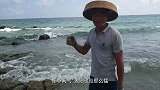 小渔翁赶海运气大爆发，撞见一条大石斑，还捡到花鲈和螃蟹好过瘾