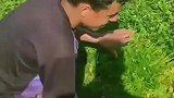 不管多么忙，田间地头抖一抖