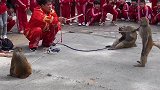 跳舞不要激动