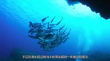 外国男子海底潜水，意外发现水下有人群聚集，吓得赶紧上了岸
