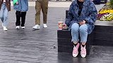 奶茶没了出来一只小可爱狗狗大家觉得值吗dou是新一代 萌宠嘉年 家有萌宠 茶杯犬