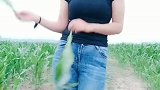 玉米地里跳舞，有不嫌弃农村姑娘的吗