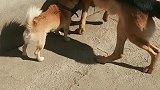 说的哥们差点哭出来