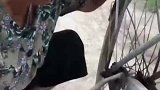 可怜的孩子，父母不要了