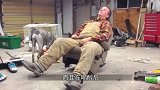 松鼠趁主人不在偷喝啤酒，结果不小心喝多了，下一秒让人笑出腹肌