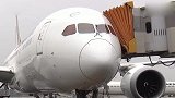 日航波音787客机飞上海 起飞滑行途中驾驶舱玻璃开裂