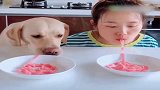 狗狗和主人来比赛咯！