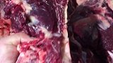 真正的内蒙古呼伦贝尔大草原的牛肉你吃过吗？