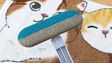 家里养猫的，快用这个刷子把猫条搓起来