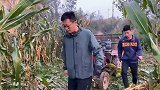 农哥和鹏鹏帮大姐掰玉米，田园生活有说有笑让人向往，累并快乐着