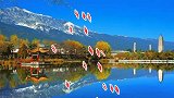 潇洒水兵舞《一首想家的歌》步加间奏,正面完整版附分解