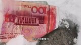见过遛猫遛狗的，这遛砖的还是头一次见