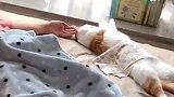 在这片土地上谁睡觉都要盖肚脐