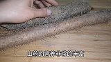 今天才知道，山药去皮如此简单，一根筷子就搞定，轻松快速手不痒