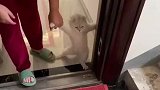 主人骗猫咪要赶它出去