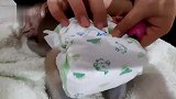 刚起床的小猴子坐在儿童餐椅上，拿起午饭就开吃：真好吃