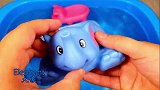 鹈鹕海象大象动物玩具展示