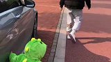 萌娃尾巴被夹，爸爸好不知情