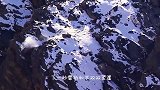 雪豹用实力诠释，什么叫做“易惊体质”！镜头拍下搞笑一幕