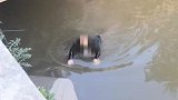 江苏南通：为逃追捕小偷跳河钻入下水道：我不能上去，丢人