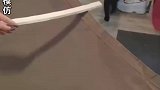 跟猫猫比速度，我赢了