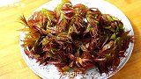 香椿炒鸡蛋，到底是先焯水还是直接炒？来看看大厨是怎么做的吧！