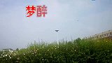 雨中百合一首《梦醉相思愁》，听完满是惆怅，期盼梦中与你相遇