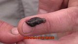 当水蛭碰上99片泡腾片，场面瞬间失控：这还是人干的事吗